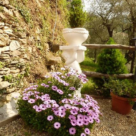 Casa Vacanze Sole Borghetto d'Arroscia Esterno foto