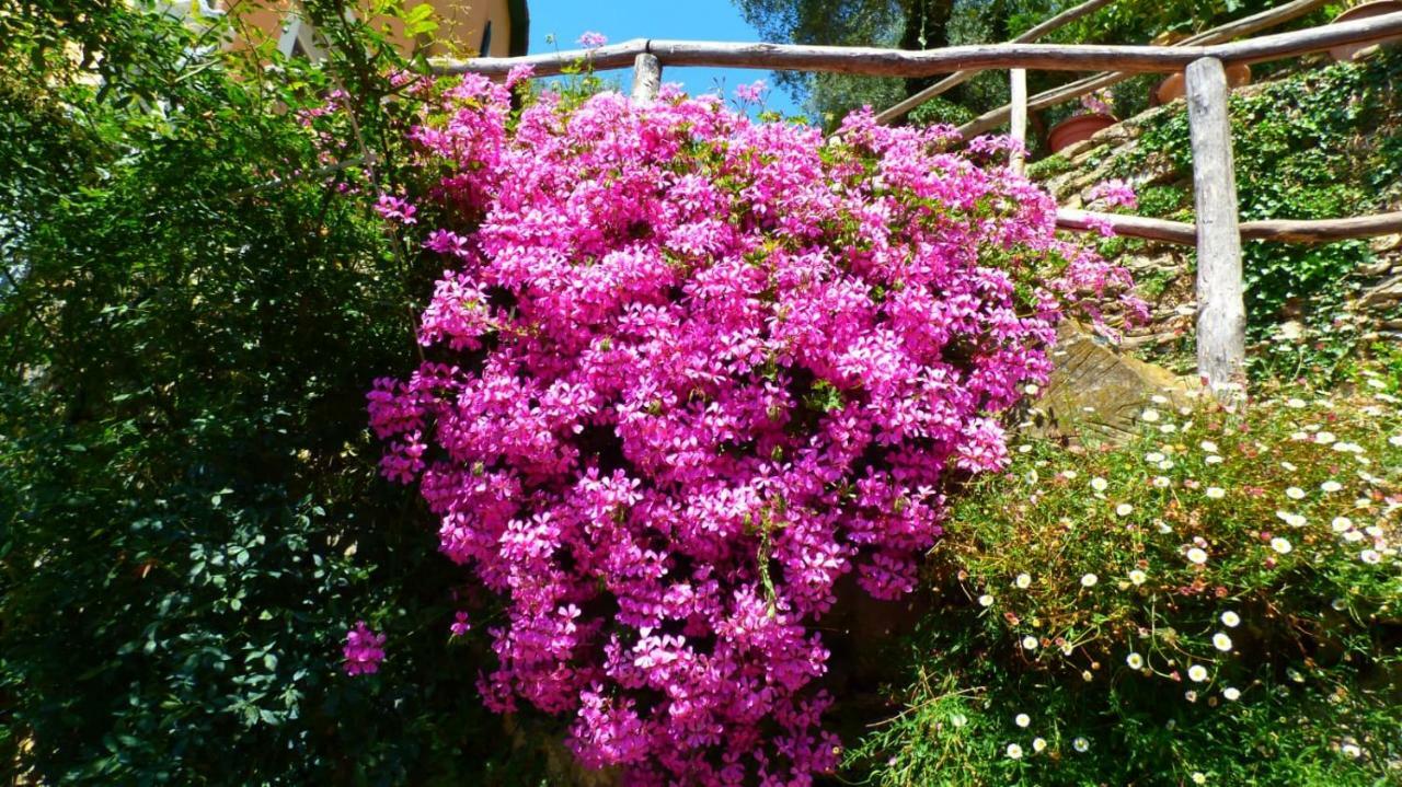 Casa Vacanze Sole Borghetto d'Arroscia Esterno foto